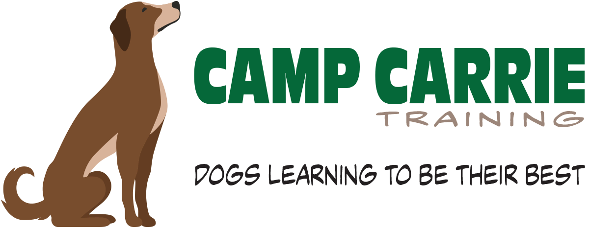 Camp Carrie Training